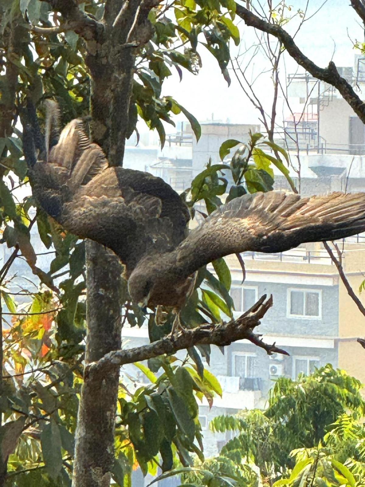 Hotel Tourist Residency Pokhara Eksteriør bilde